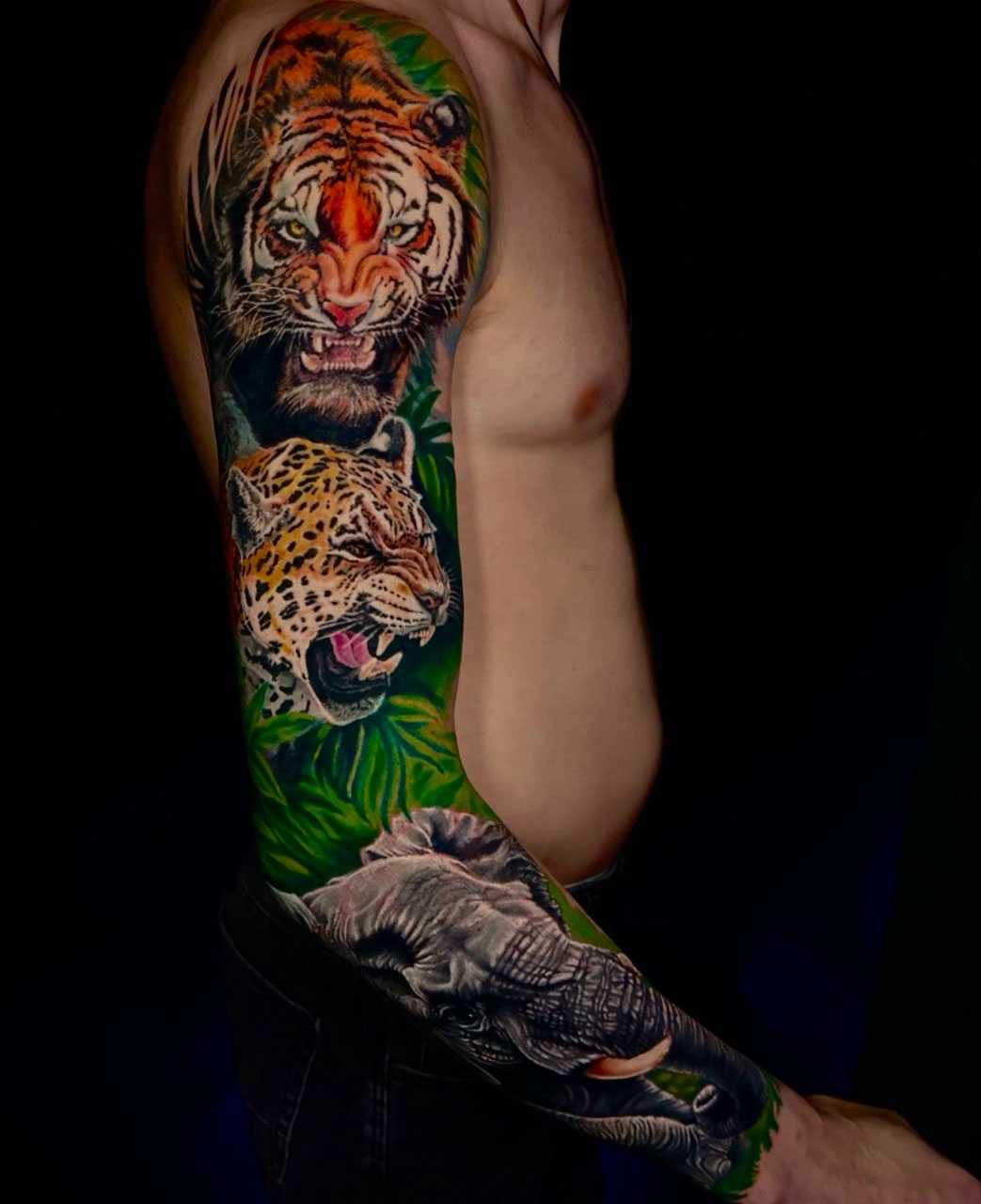 Джунгли: тигр, леопард, слон