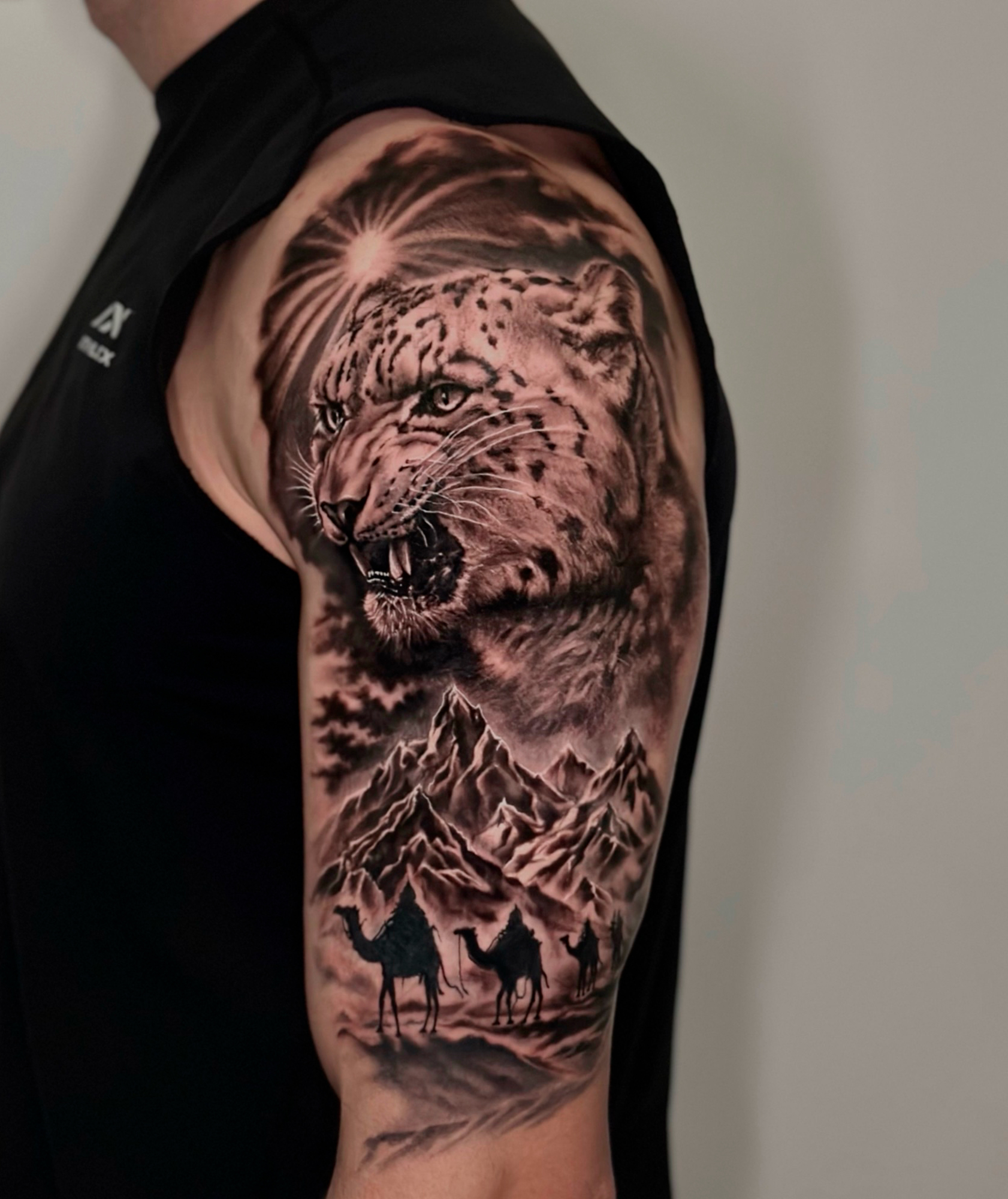 Гепард в пустыне