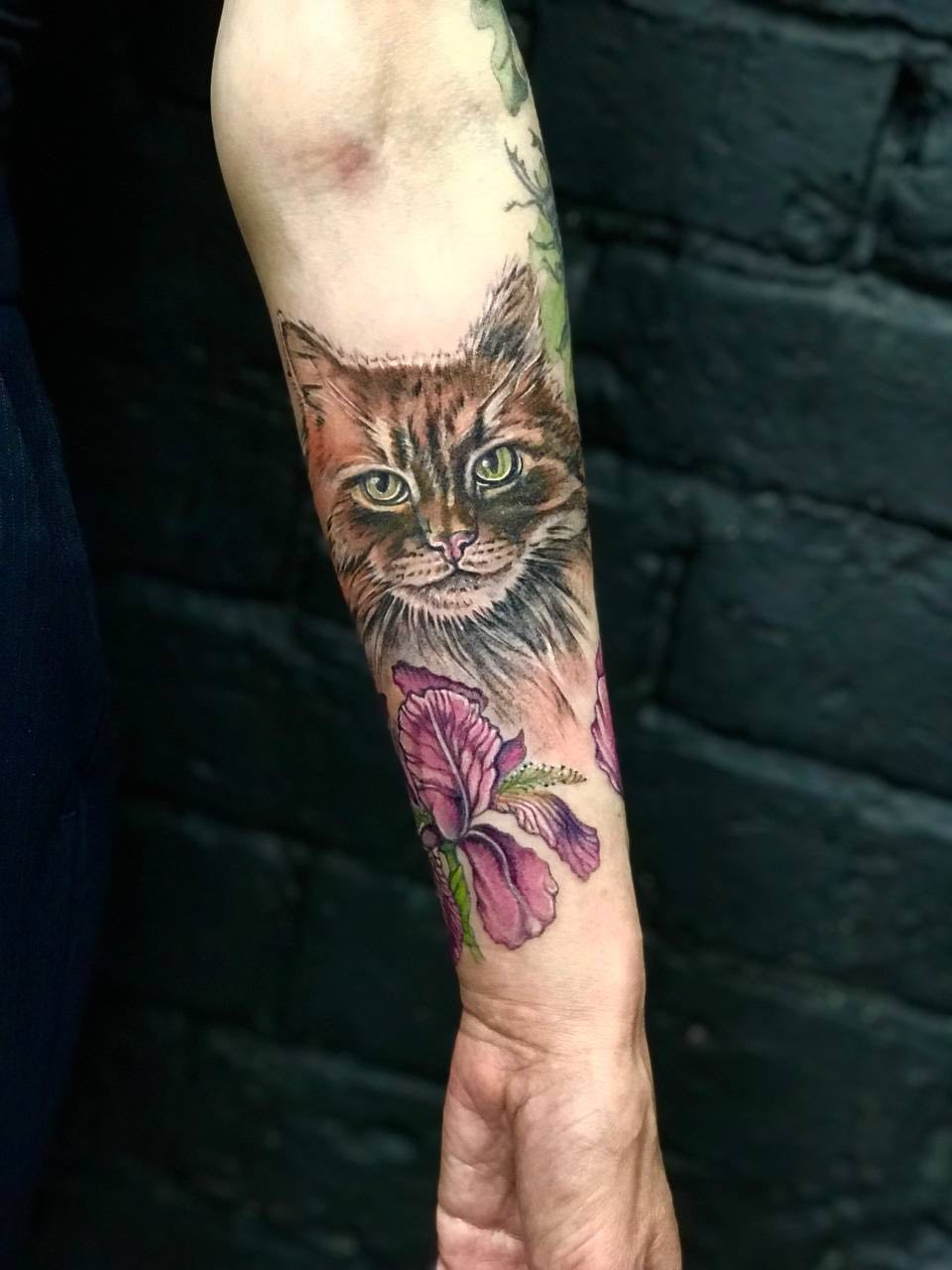 Кот и цветок ириса