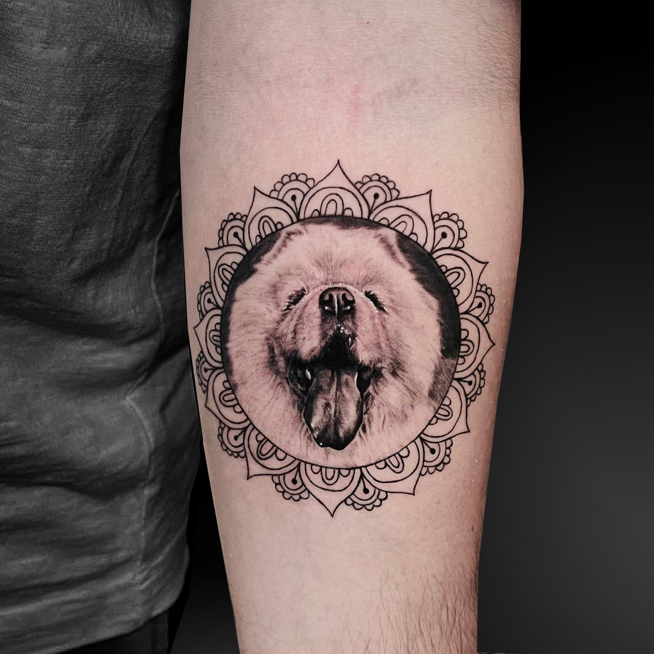 Собака и мандала